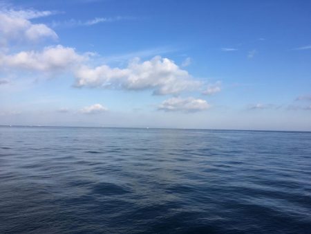 お昼まで穴釣り